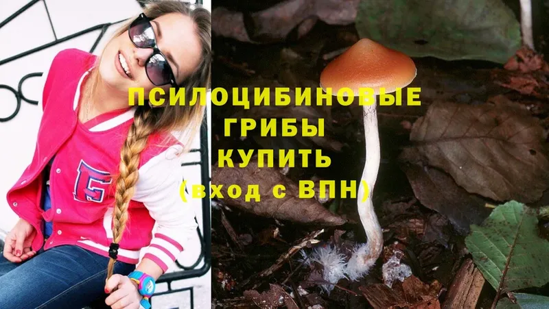 Галлюциногенные грибы Cubensis Кораблино